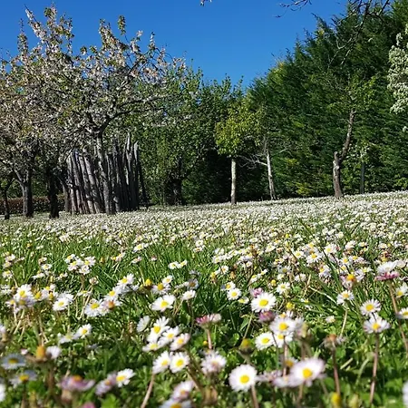 펜션 Domaine De La Brette