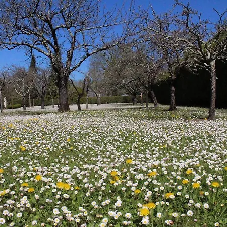 Tatil Evi Domaine De La Brette *