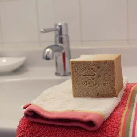 펜션 Domaine De La Brette 콩돔