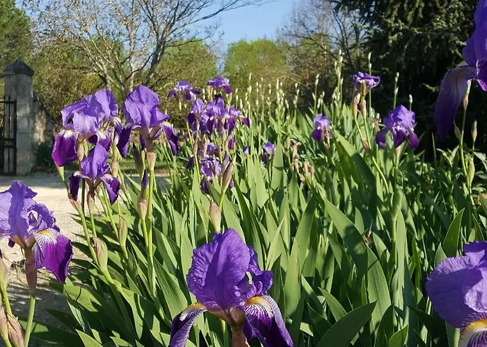 بيت للعطل Domaine De La Brette *