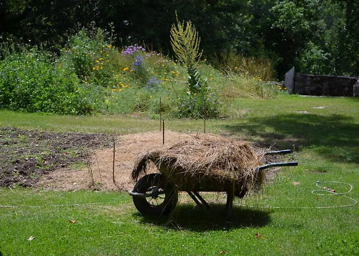 Domaine De La Brette Σπίτι διακοπών