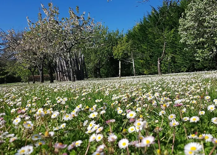 Σπίτι διακοπών Domaine De La Brette