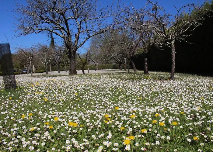 Σπίτι διακοπών Domaine De La Brette *