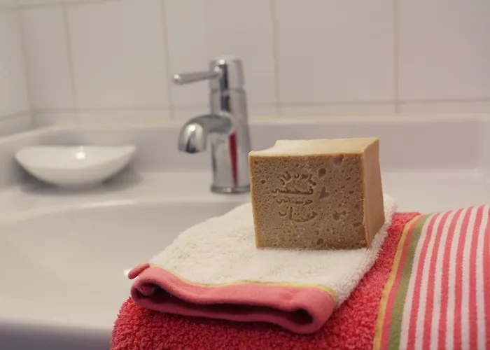 Σπίτι διακοπών Domaine De La Brette Condom